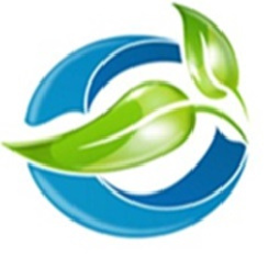 Logotipo Marca com folhas verdes e azuis